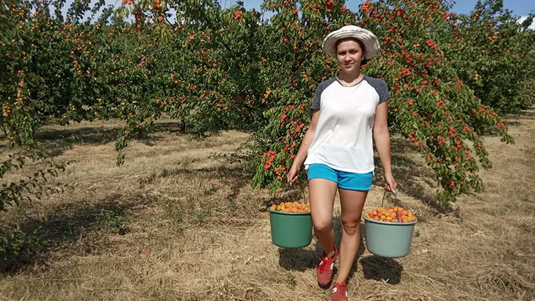 A beregsomi hegy délnyugati részén található Deme családi birtok kivételes helynek számít.