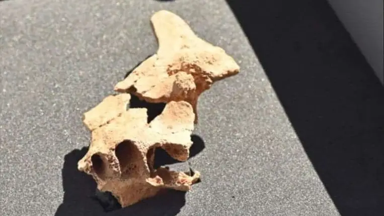 Meglepő dolgokról mesél Európa legrégebbi emberi maradványa