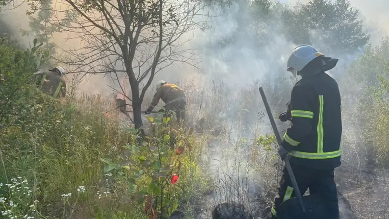 Három nyugdíjas meghalt az aljnövényzet égése miatt Ukrajnában
