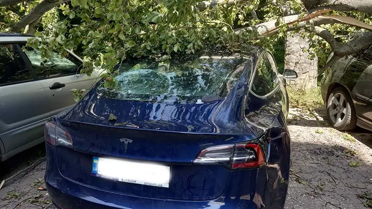 Két Subarut, két Fordot, egy Lexust és egy Teslát rongált meg egy kidőlt fa Kárpátalján. Fotó: DSZNSZ