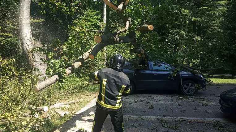 Két Subarut, két Fordot, egy Lexust és egy Teslát rongált meg egy kidőlt fa Kárpátalján. Fotó: DSZNSZ