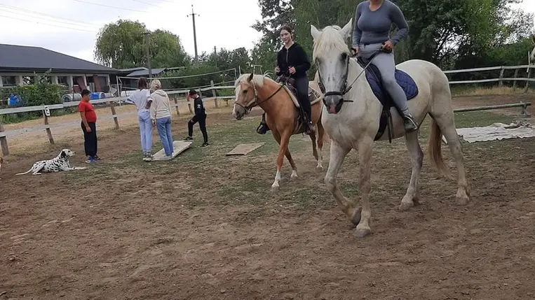 Kezdetét vette a lovastábor a KMNE szervezésében