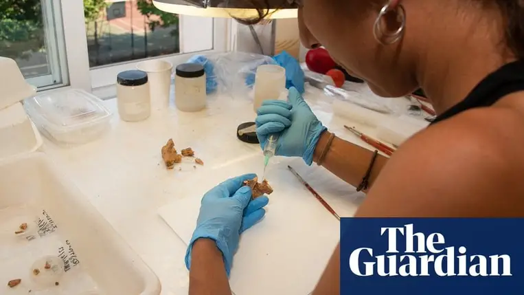 Megtalálhatták Európa legősibb emberi maradványait