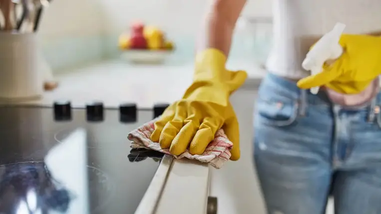  Egyszerű trükkök hangyák és molyok ellen – Kipróbáltam! 