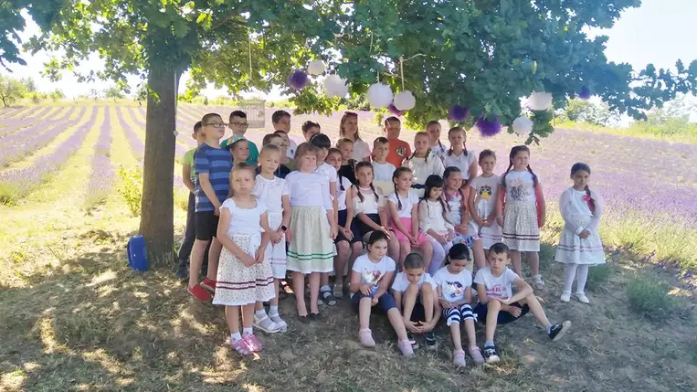 Feltöltődés a nagybégányi levendulásban