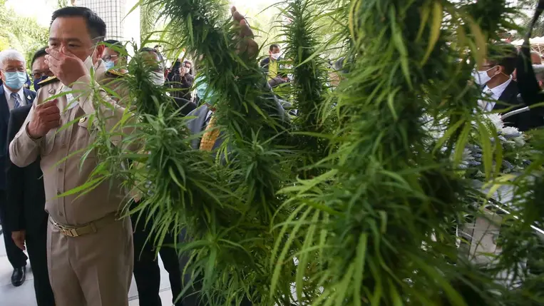 Legalizálták a marihuánát egy, a turisták által is kedvelt ázsiai országban