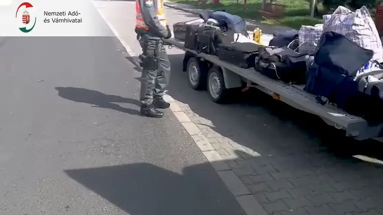 Cigi a bőröndben és szívószálak között (Video)