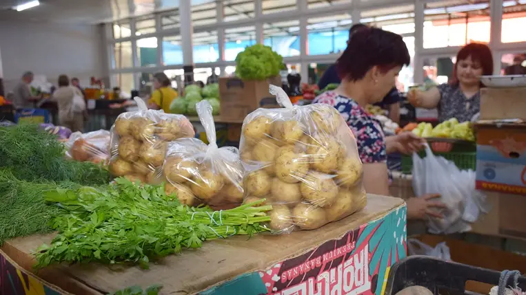 Primőrszezon a termelők szemével