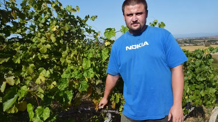 Mítosz és valóság: beszélgetés Sass Krisztián kígyósi szőlőtermesztővel és borásszal - Beregszász és Tokaj – hasonlóságok és különbözőségek a két borvidék kapcsán