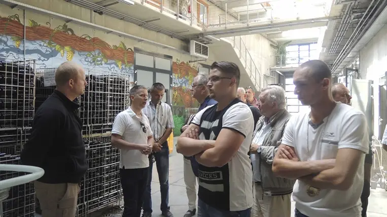 Tokaj, Szerémség, Ruszt, Beregvidék és a Kárpát-medence még számos más borvidéke azért tudtak kiemelkedő helyen szerepelni, mert nagy biztonsággal tudtak aszúkat, főborokat, szamorodnikat készíteni szinte évről évre.
