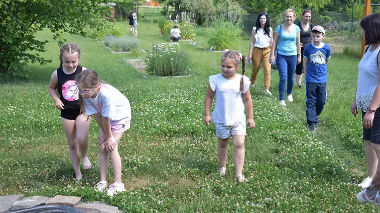 A Pro Cultura Subcarpathica (PCS) civil szervezet a Nagyberegi Tájházban tartott idei első nyári foglalkozásán is ez az illatos növény és gyógynövénytársai játszották a főszerepet.