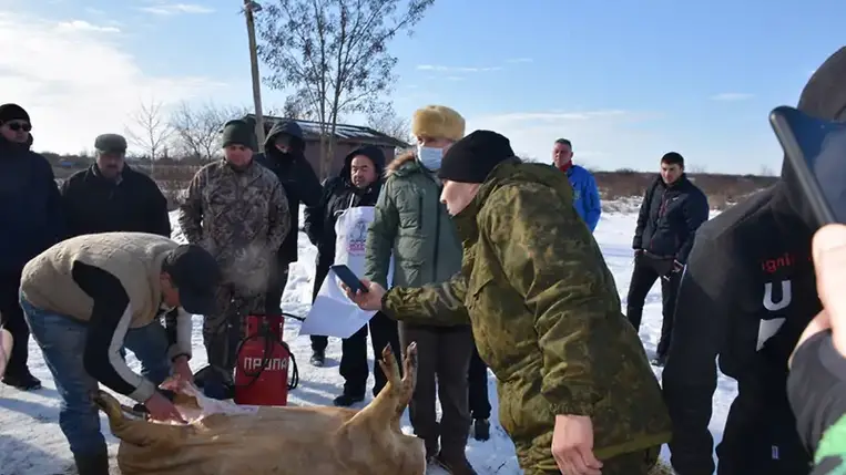 Talán soha ennyi látogatót nem vonzott a Mezőgecsei Nemzetközi Böllérverseny, mint a mostani, amelyik szám szerint immáron a tizenötödik. Dél körül már valamennyi, a sátrak alatt elhelyezett asztal foglalt volt, itt jóízűen falatoztak a részben a környező településekről és Kárpátalja távolabbi helységeiből, részben pedig az ország más megyéiből érkezett vendégek, hogy megkóstolják a friss disznóhúsból készült ételeket. Fotó: Kovács Elemér