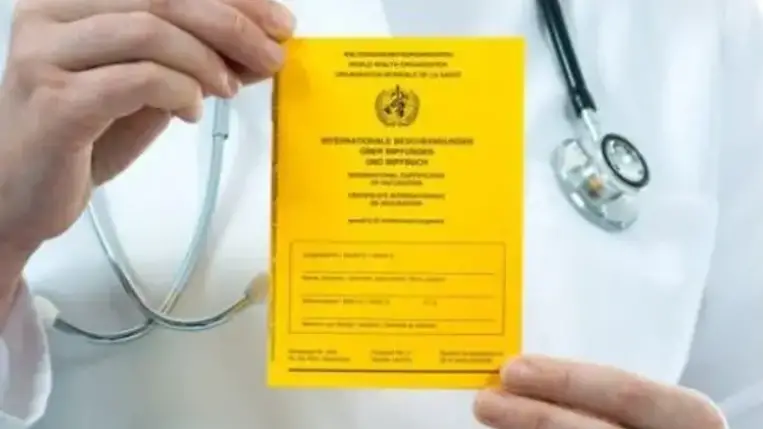 Ukrajnában a hamis Covid-igazolások tulajdonosai büntetlenül kérhetik a dokumentum törlését