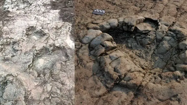 200 millió éves dinóösvényt fedezett fel egy amatőr kutató