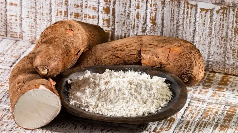 Ilyen trükkökkel élték túl a szárazságot a maják