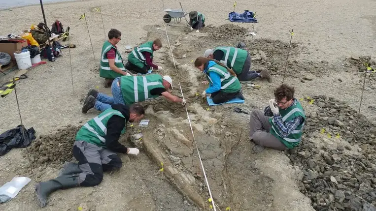 Rekordméretű halgyíkfosszíliát találtak