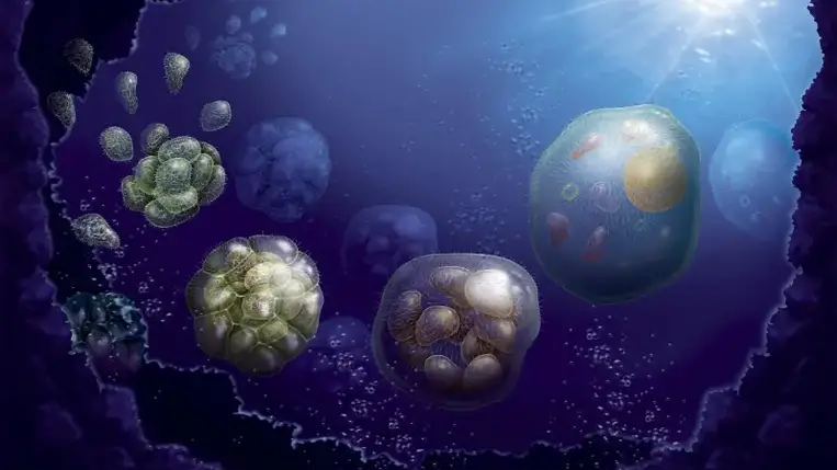 Kiderült, mit evett mindannyiunk közös őse