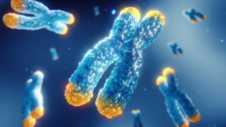 Minden emberben van egy "halálóra", ami előre megmutatja, mikor hal meg