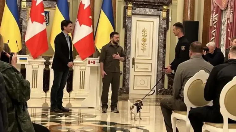 Zelenszkij kitüntetett egy kutyát, a kis terrier életeket ment