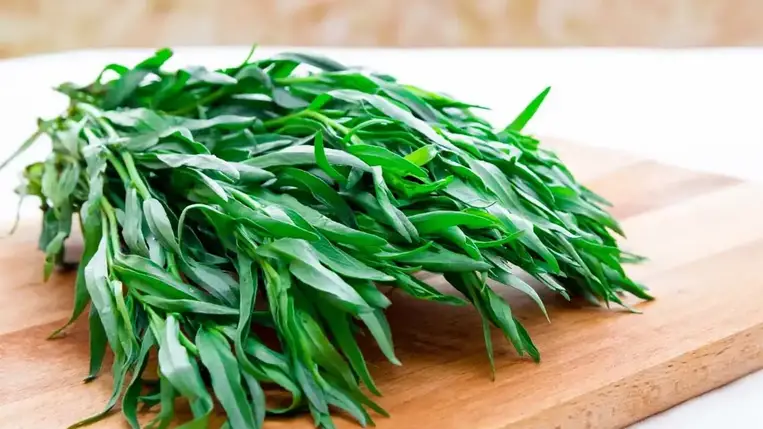 Ez a karakteres fűszer- és gyógynövény csodákat tesz a testeddel