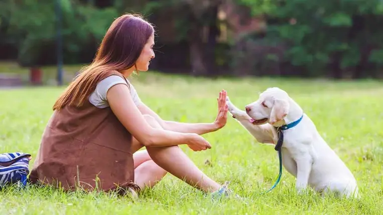 Ezért érdemes figyelmesebben beszélni a házi kedvencünkkel