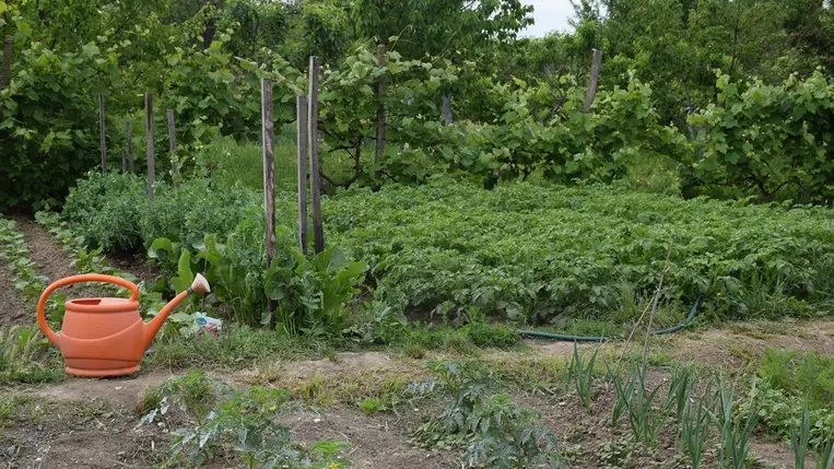 Meteorológia 2022 - Negatív csapadékrekord májusban