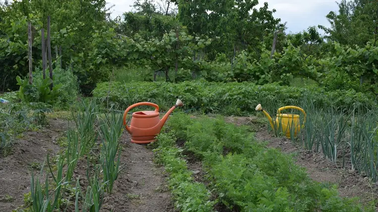 Meteorológia 2022 - Negatív csapadékrekord májusban