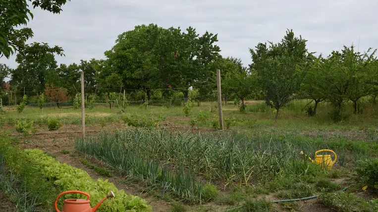 Meteorológia 2022 - Negatív csapadékrekord májusban