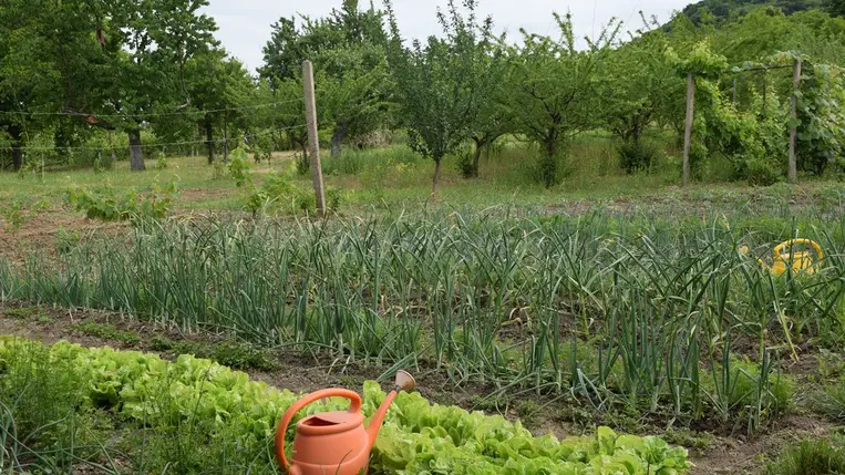 Meteorológia 2022 - Negatív csapadékrekord májusban