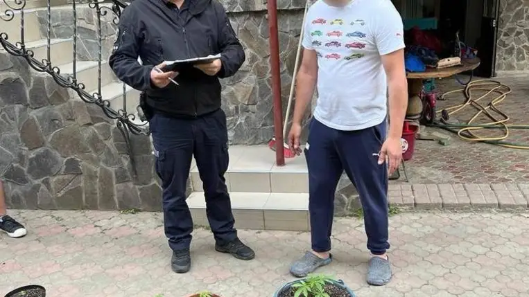 A nagyszőlősi rendőrök házkutatás során kenderültetvényt találtak egy büntetett előéletű férfinál Nagyszőlősön.