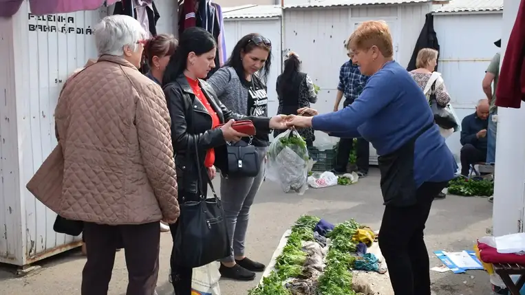 Beindult a palántaszezon