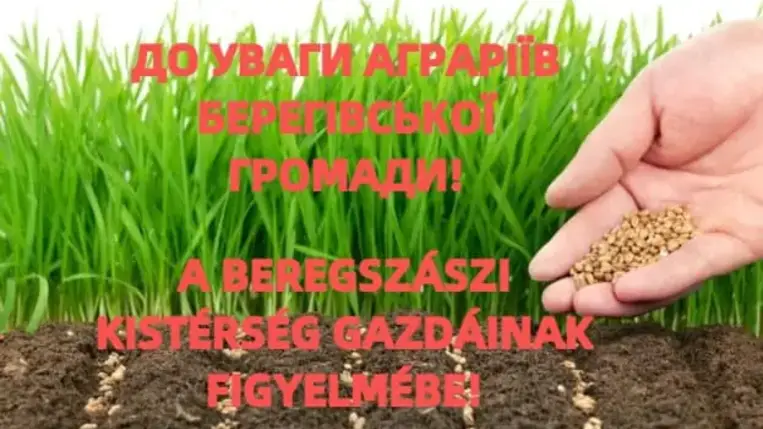 Mezőgazdasági termékek előállításával/termelésével foglalkozó férfiak fél évi haladékot kaphatnak a katonai szolgálat alól.