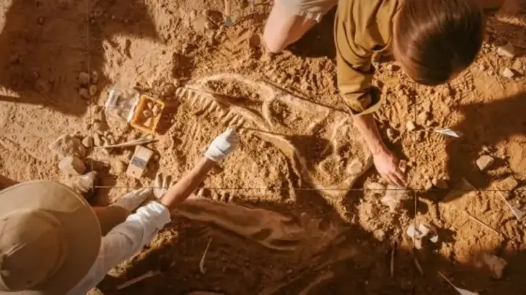 Különleges felfedezést tett a kutatócsoport