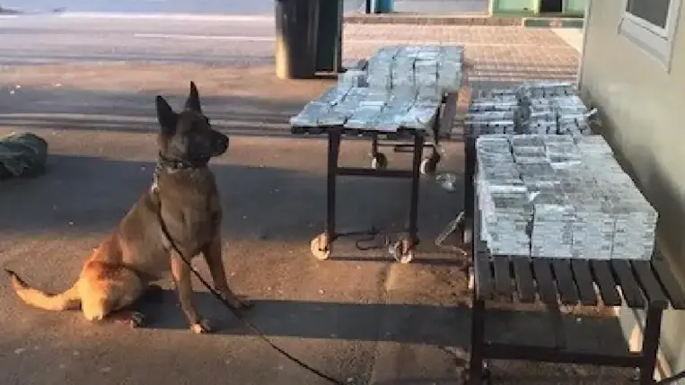 A Nemzeti Adó- és Vámhivatal (NAV) munkatársai Tiszabecsnél csaknem kétezer doboz cigarettát találtak egy autóban.