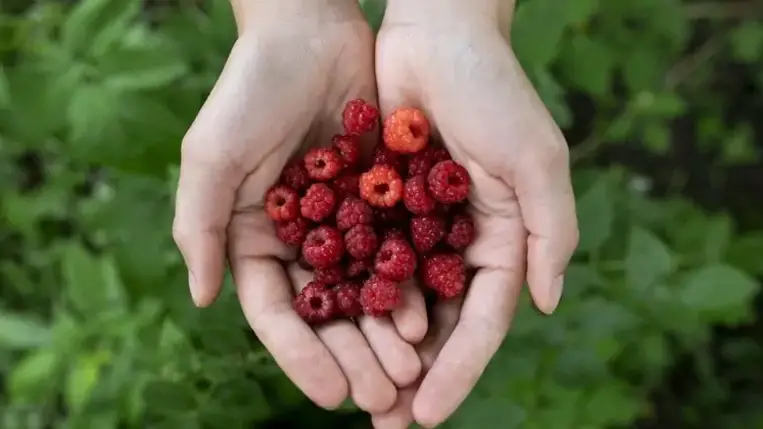 Szuperételek 40 felett: ezekből fogyasszunk minél többet