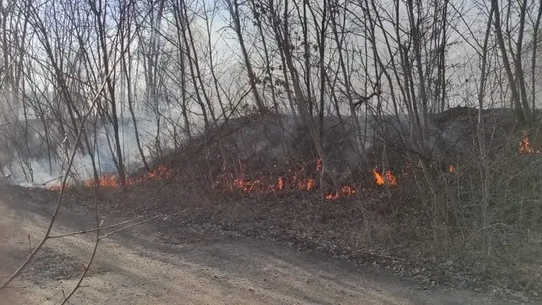 Égett a száraz növényzet Munkács közelében