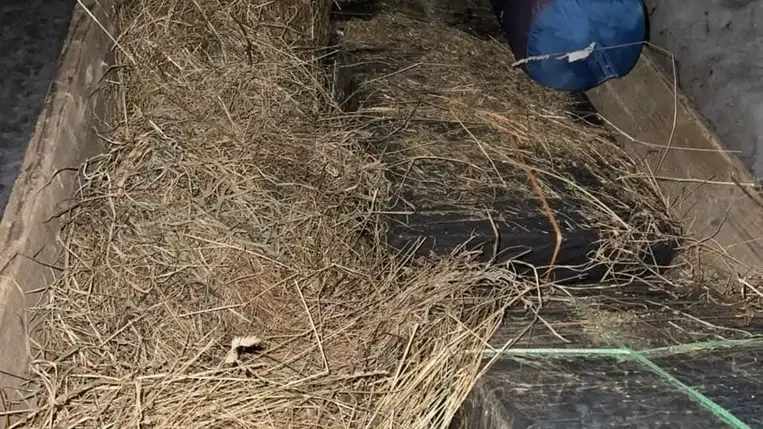 Egy férfi szekéren próbált 7,5 doboz cigarettát átcsempészni Romániába