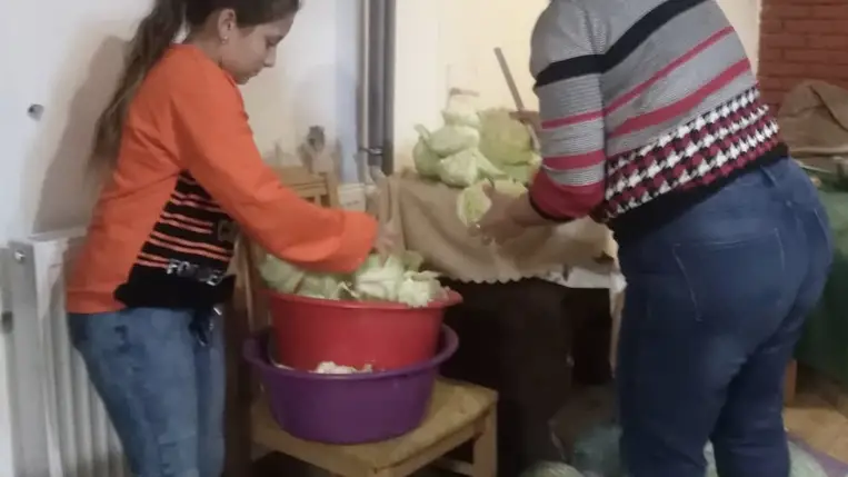 Újabb önkéntes hétvégére került sor a KMNE Vadvölgy panziójában