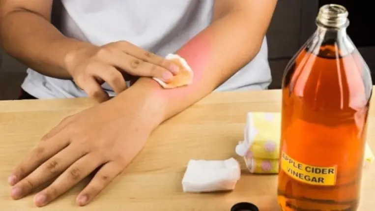 Almaecet: az igazi életelixír