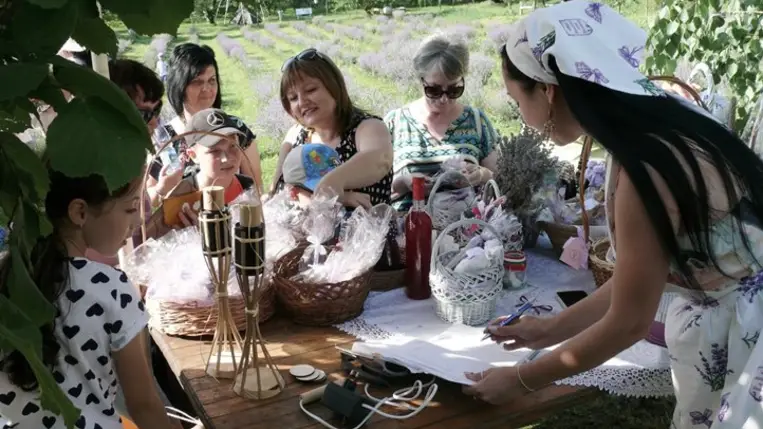 A Beregardai Hegyalja Levendulamezőn. Fotó: Kárpátinfo/Kovács Erzsébet