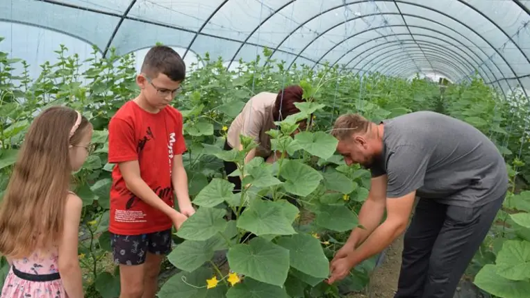 Töretlen népszerűségnek örvend az Első lépés program - Több mint száz pályázó