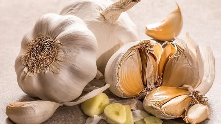 Aszályos évek nyertes növényei a Kárpát-medencében - A fokhagyma szabadföldi termesztése (1.)