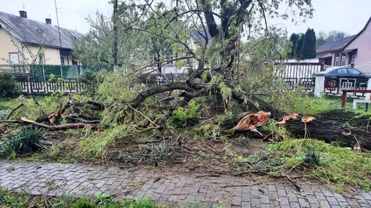 Viharkárok Badalóban