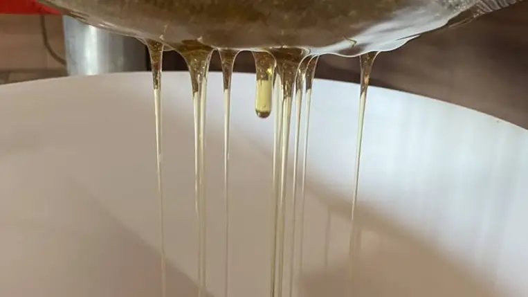 Méhészet: jól fizet az akác - Vevő kerestetik. Fotó: Kárpátinfo/Kovács Elemér