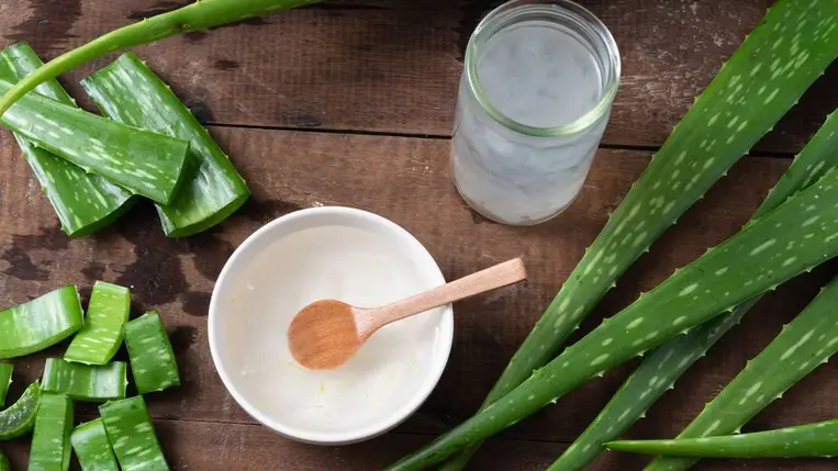 Remekül nyugtatja a bőrirritációt - Otthon is elkészítheted az Aloe vera gélt