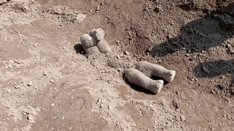 Igazi dráma, ahogy az elefántok rituálisan eltemetik társaikat 