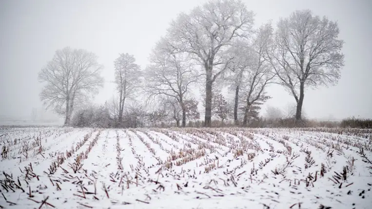 Hiányzik a hideg a földeknek