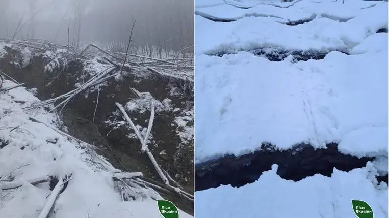 Földcsuszamlás történt Kárpátalján. Fotó: ДП "Ліси України"