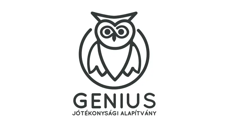A "GENIUS" Jótékonysági Alapítvány nyári táborokat hirdet a 2023/2024-es tanévre