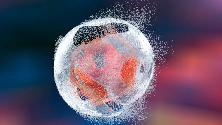 Megmérték a halál sebességét 